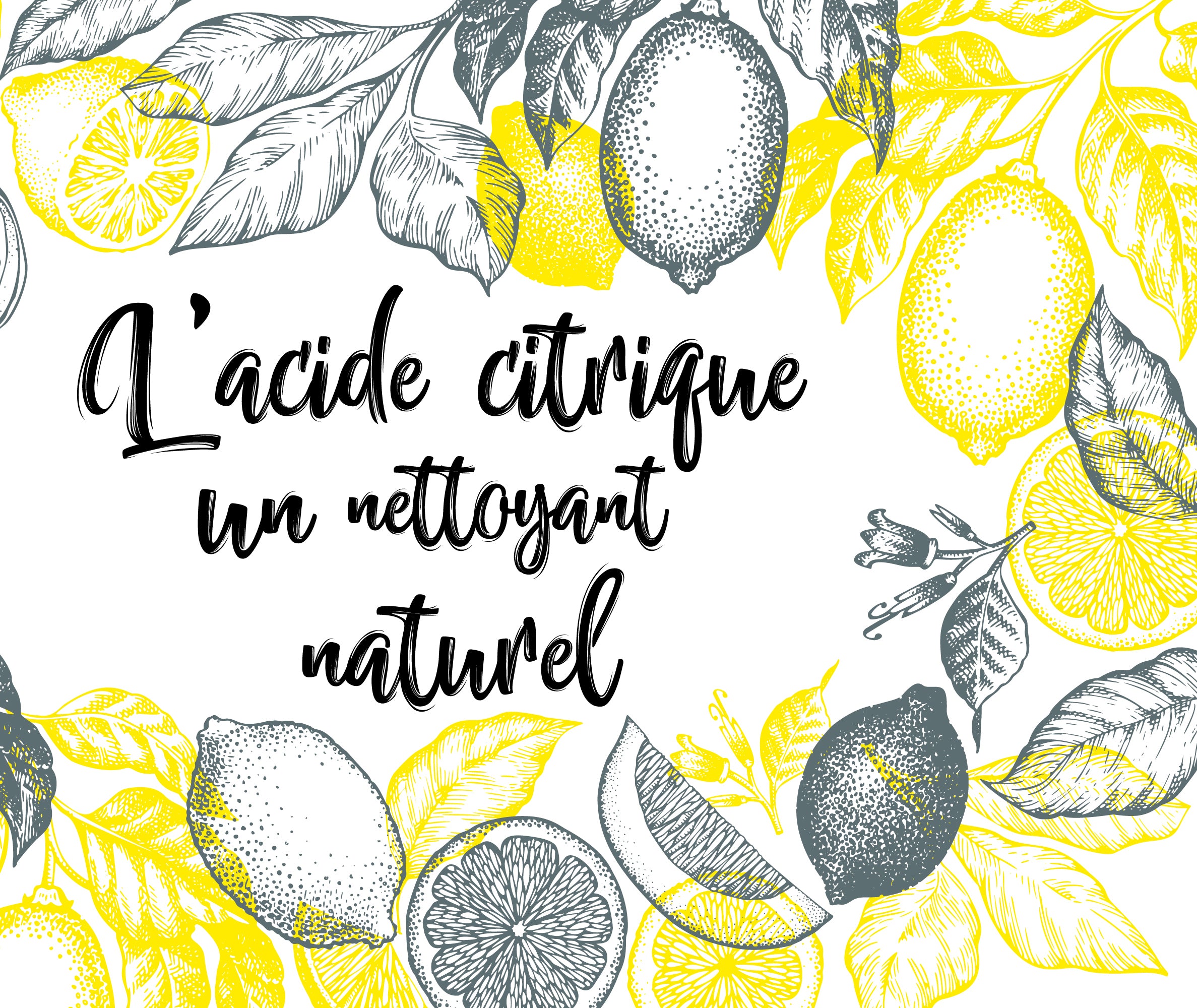 LE CITRON,  UN NETTOYANT NATUREL.